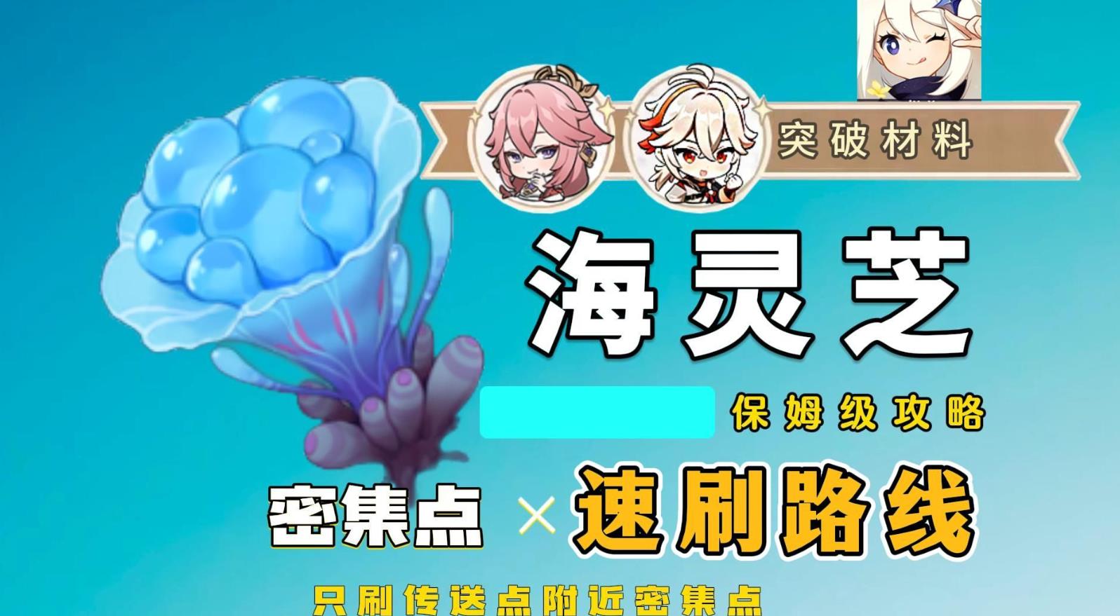 原神海灵芝2